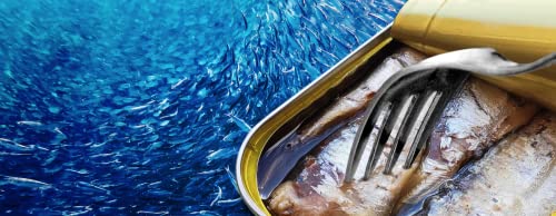 Sardine Piquante à l'huile d'Olive Millésimé - Pollastrini