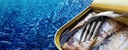 Sardine Piquante à l'huile d'Olive Millésimé - Pollastrini
