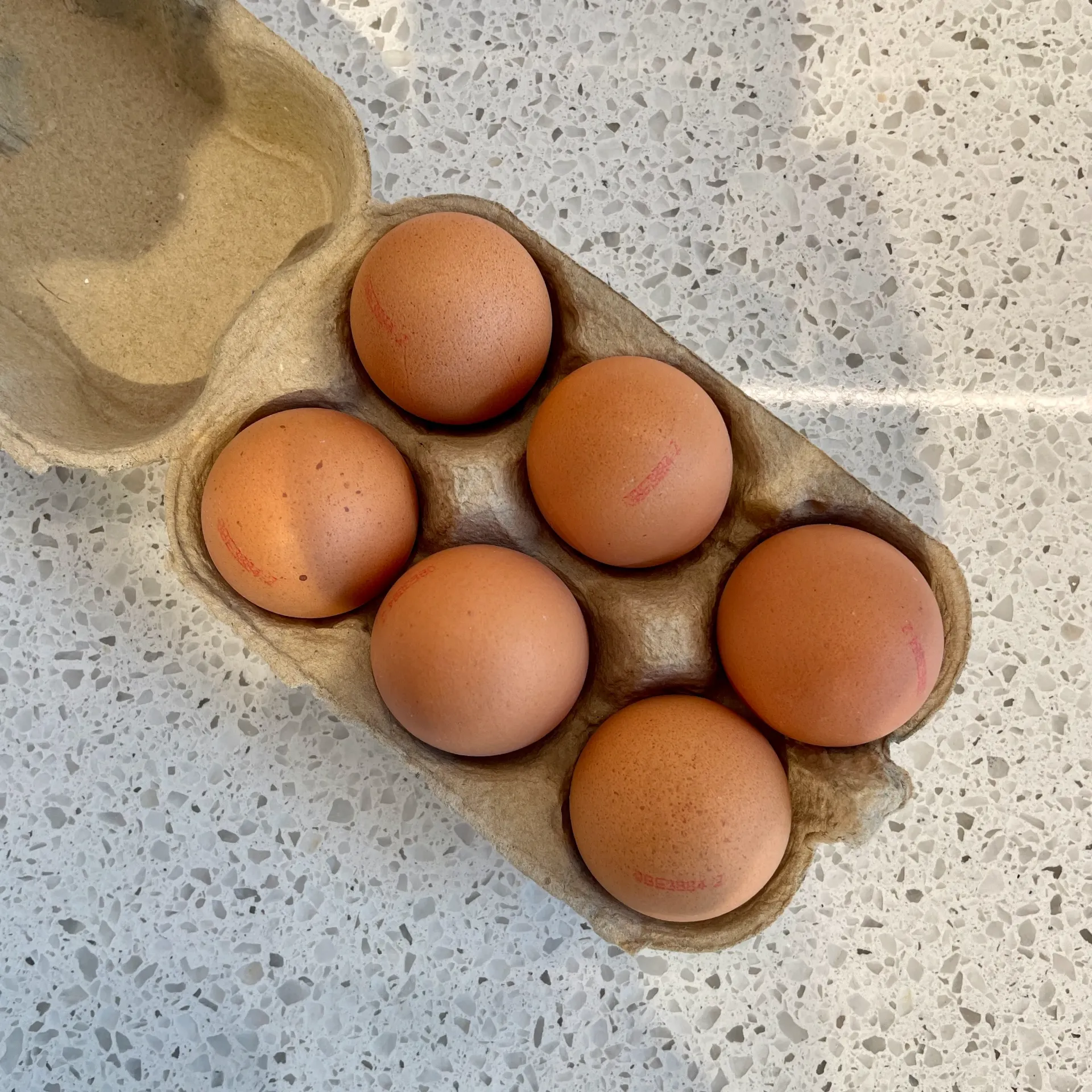 OEUFS, Boite de 6 — Hof het Reigersvliet, Ichtegem, West-Vlanderen