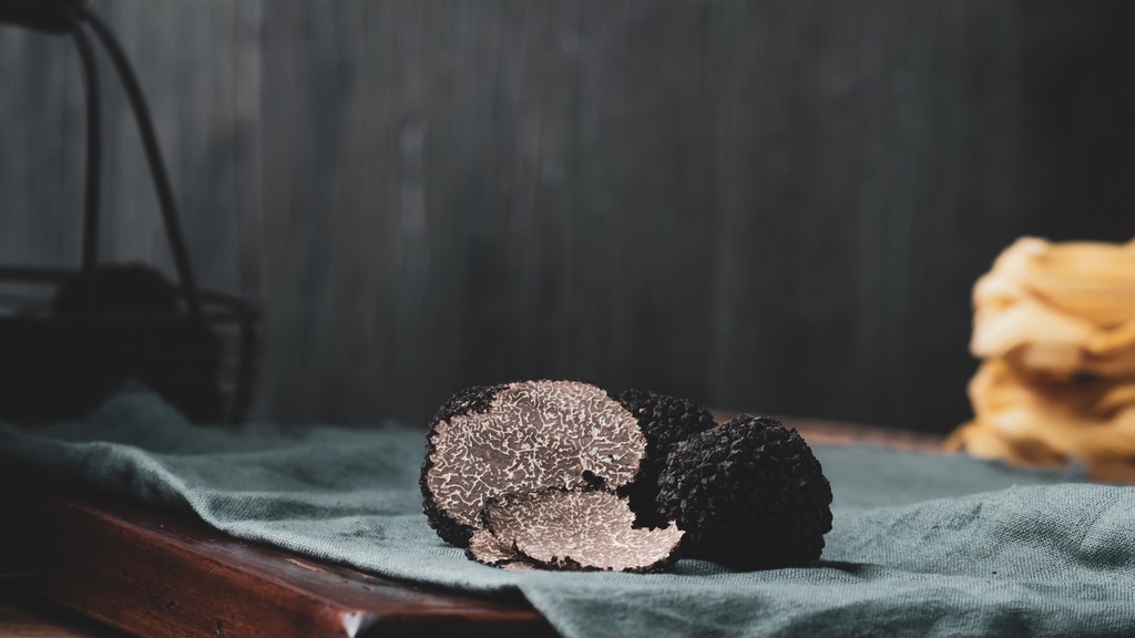 Truffe Noire Melanosporum Extra - Périgord