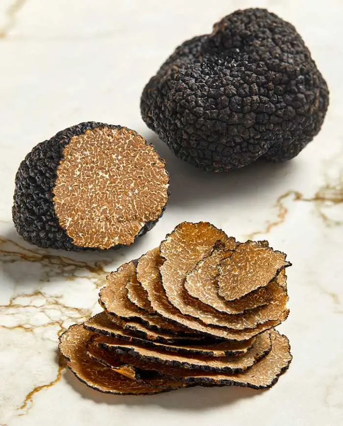 Truffe d'Automne Tuber Uncinatum
