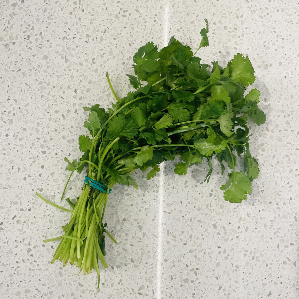CORIANDRE en botte — France