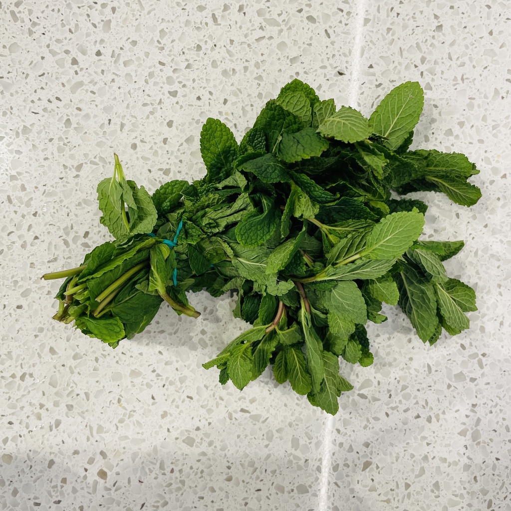 MENTHE en botte