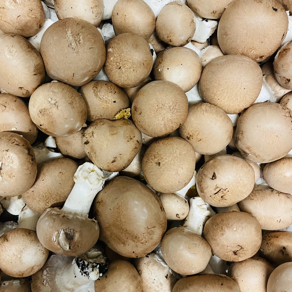 BLONDS DE PARIS — La Perrière, Crouy, Aisne