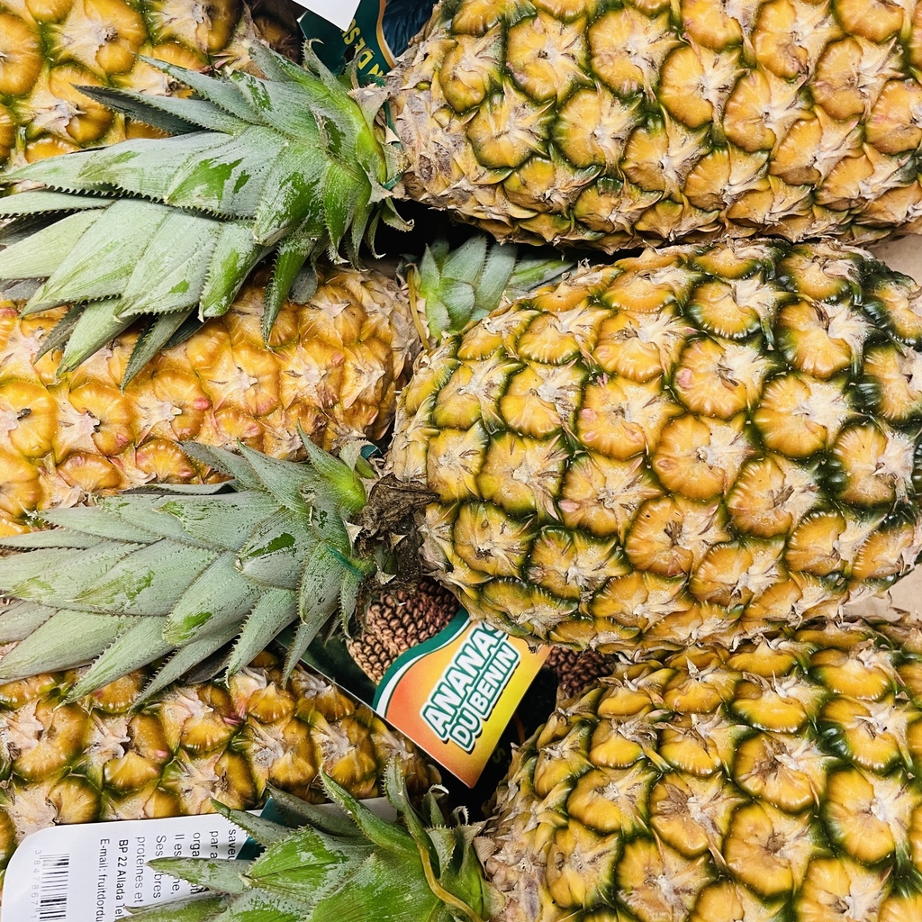 ANANAS PAIN DE SUCRE — Fine Fleur, Togo