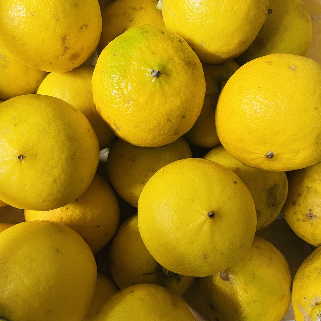 Citron Bergamote - Rocca