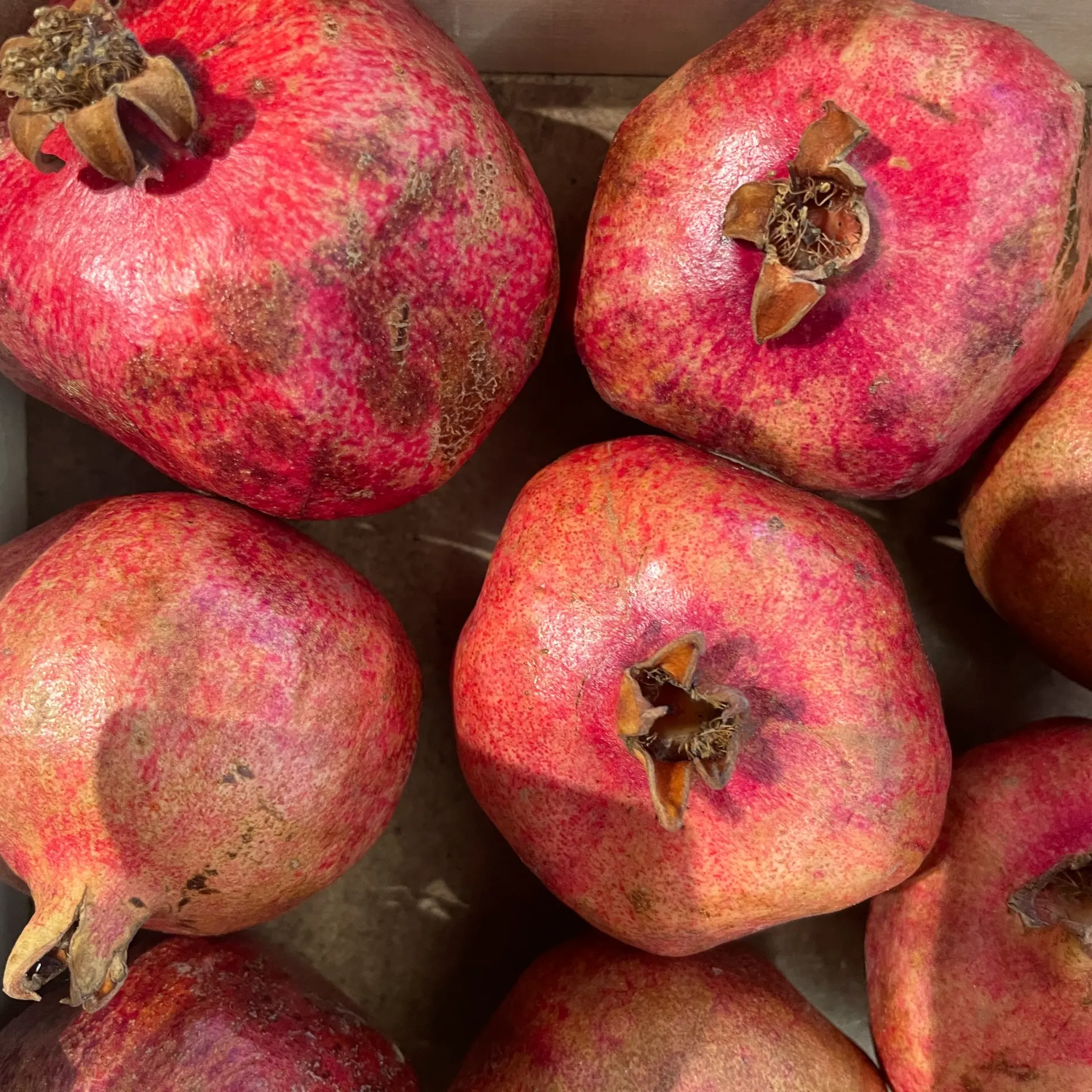 GRENADE  — Giuseppe Montalbano, Valdibella