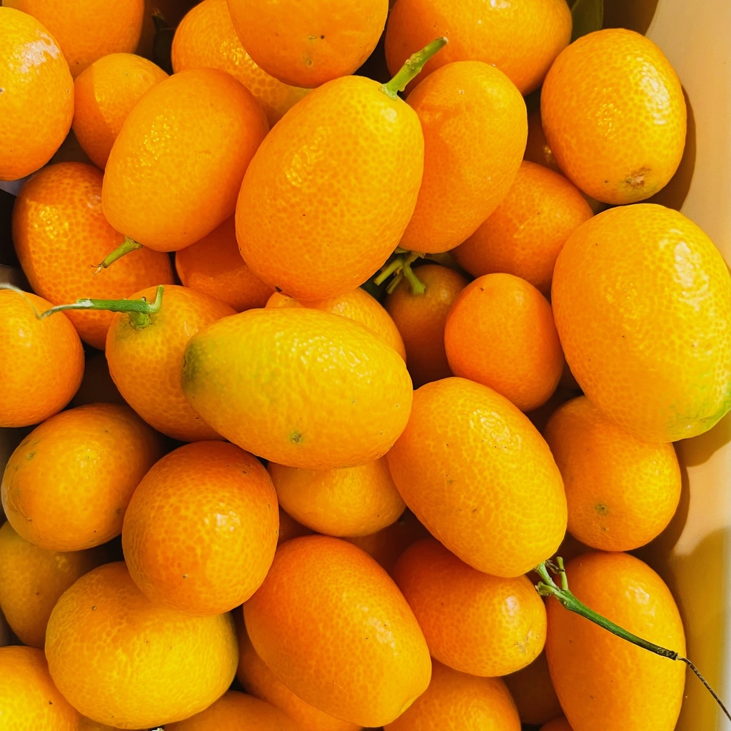 KUMQUAT bio — Marcello Eberle, Agrinova, Italia