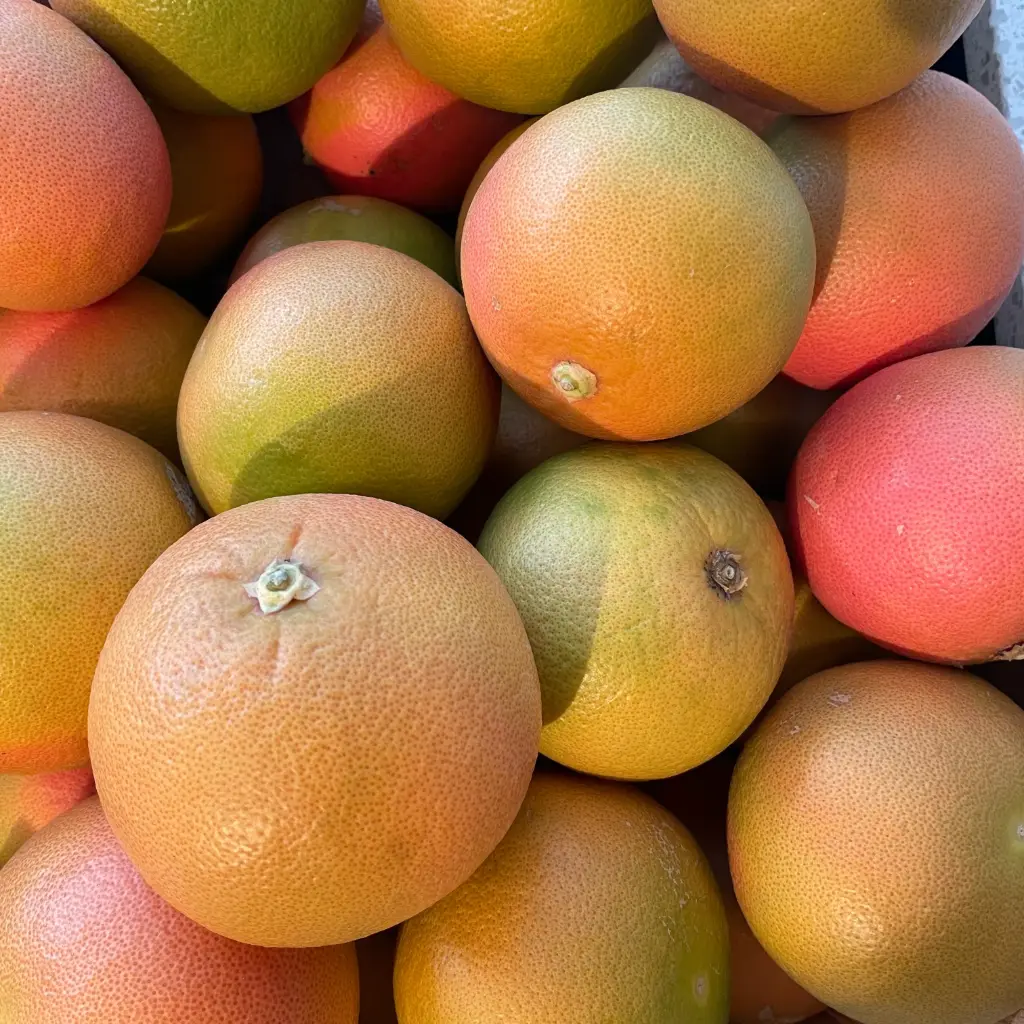 PAMPLEMOUSSE STAR RUBY BIO  — Rocca