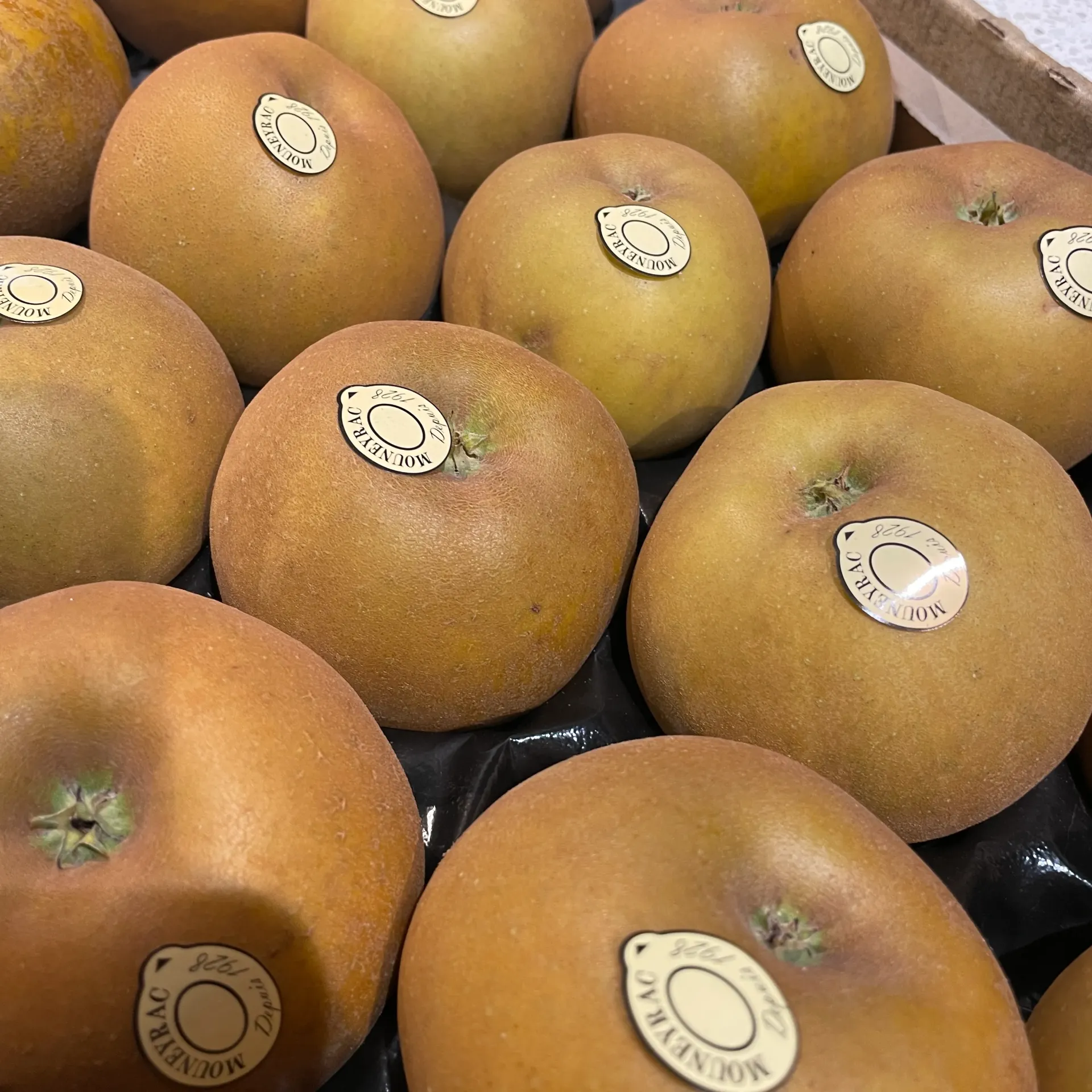 POMME CANADA — Mouneyrac