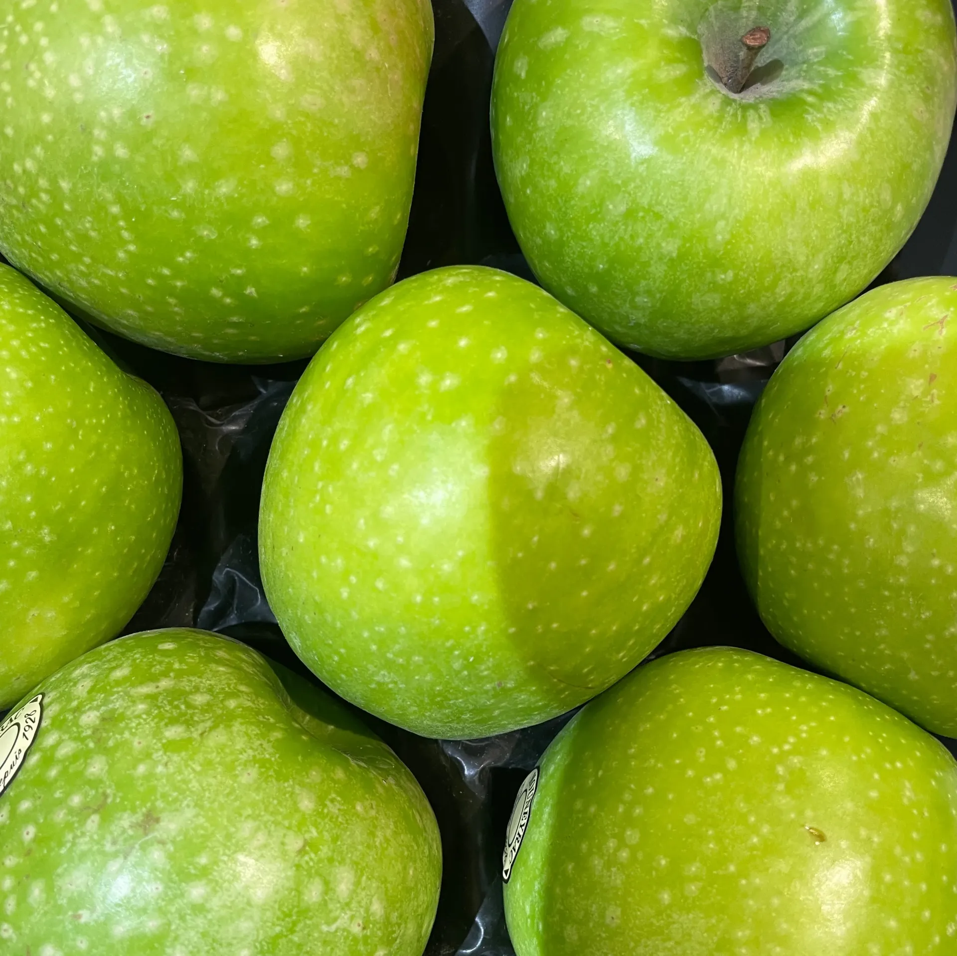 POMME GRANNY SMITH — Mouneyrac