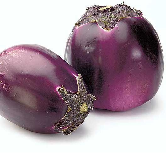 AUBERGINE RONDE - Italie