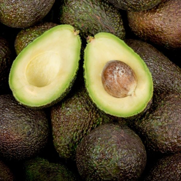 AVOCAT HAAS - Roccio Bernal, Coín, Málaga