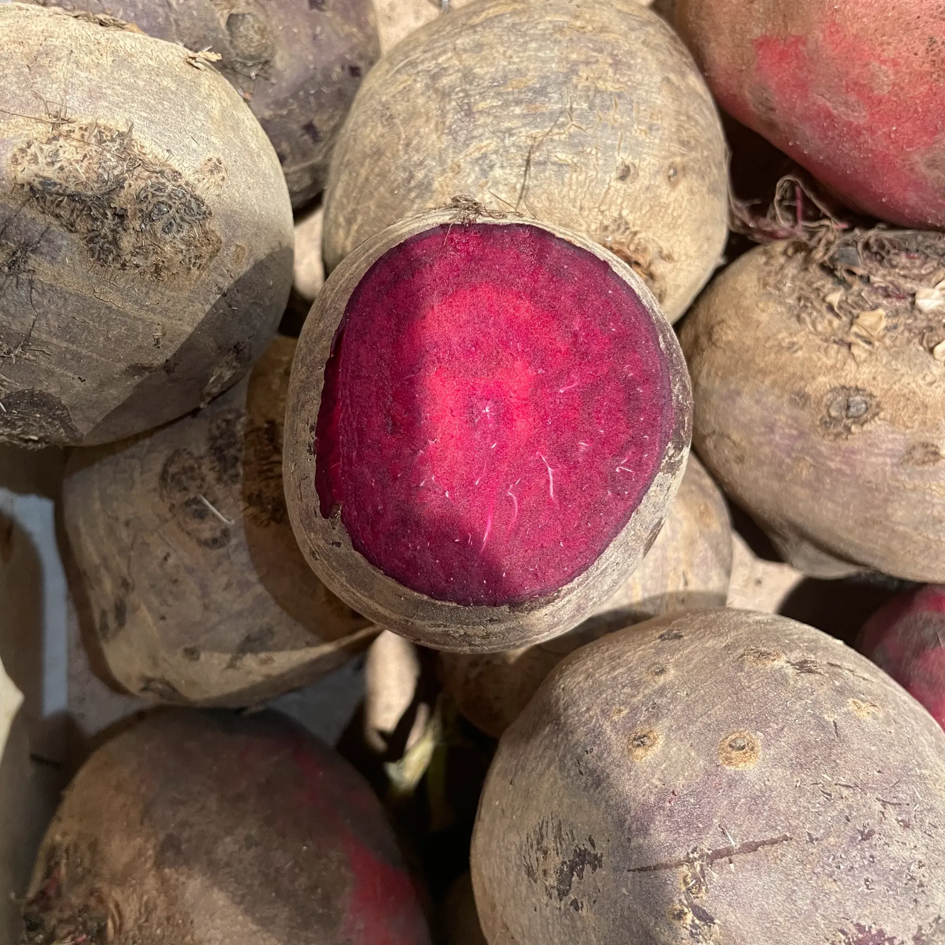 BETTERAVE Rouge bio — Ab Saveurs, Cleder