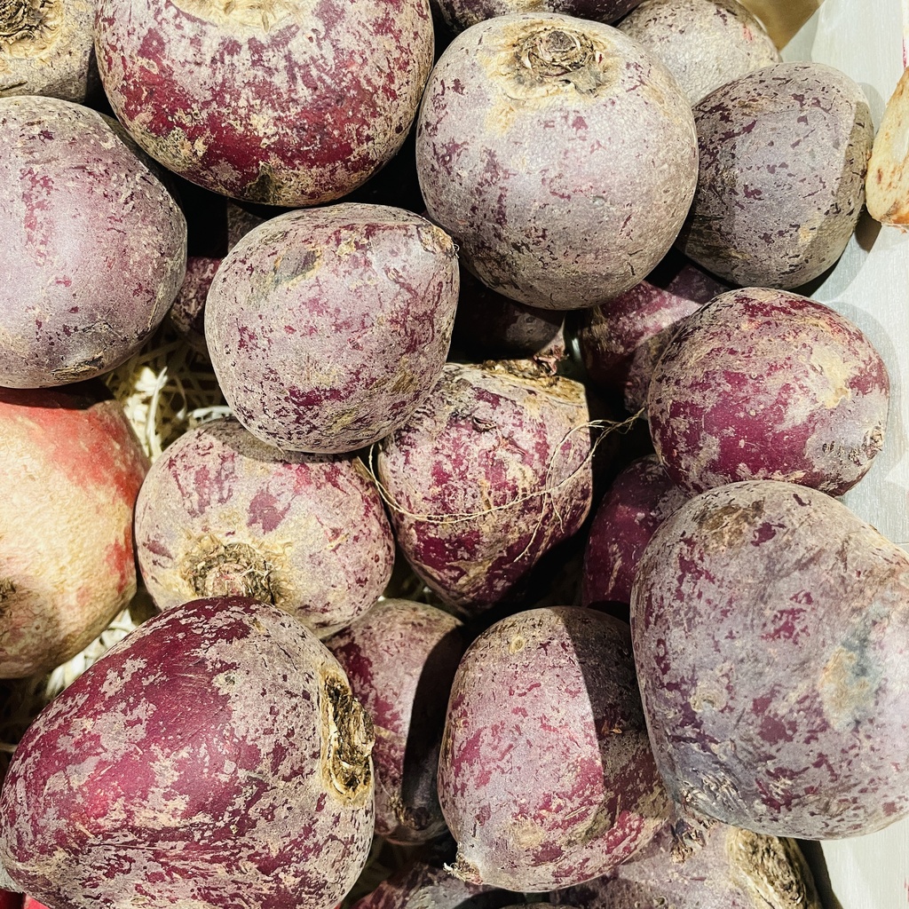 BETTERAVE ROUGE — Marc Bleys