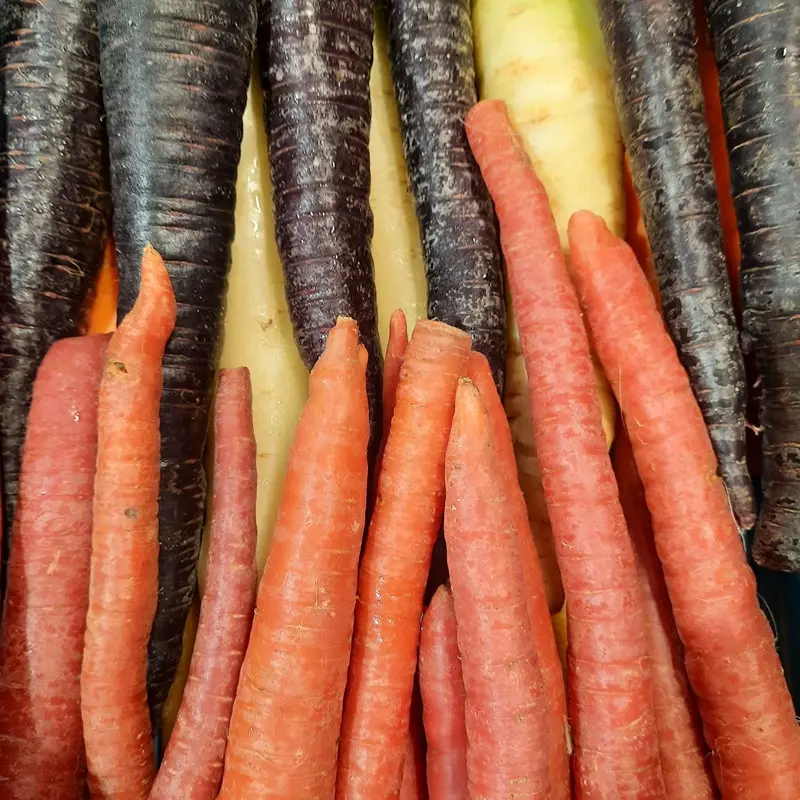 Carottes Couleurs - De Blauwe Spie