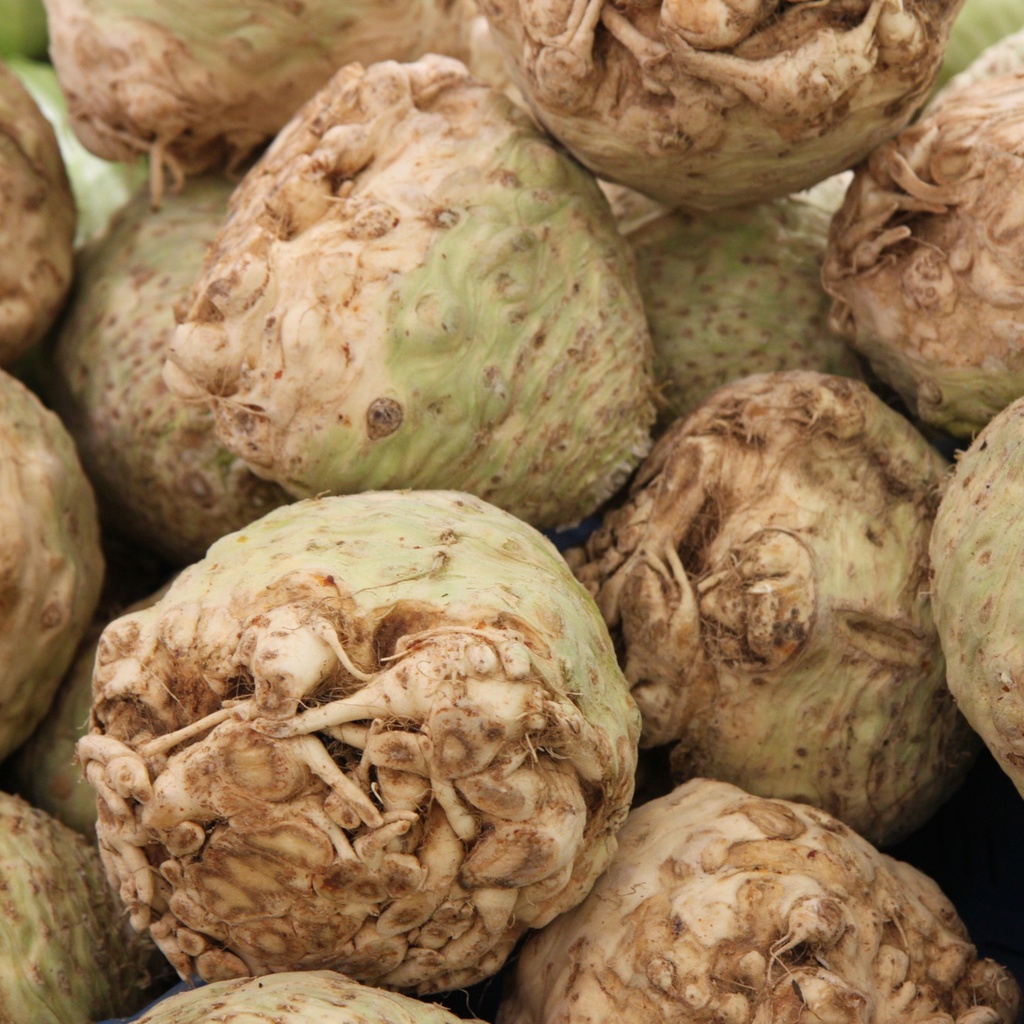 CELERI RAVE — France