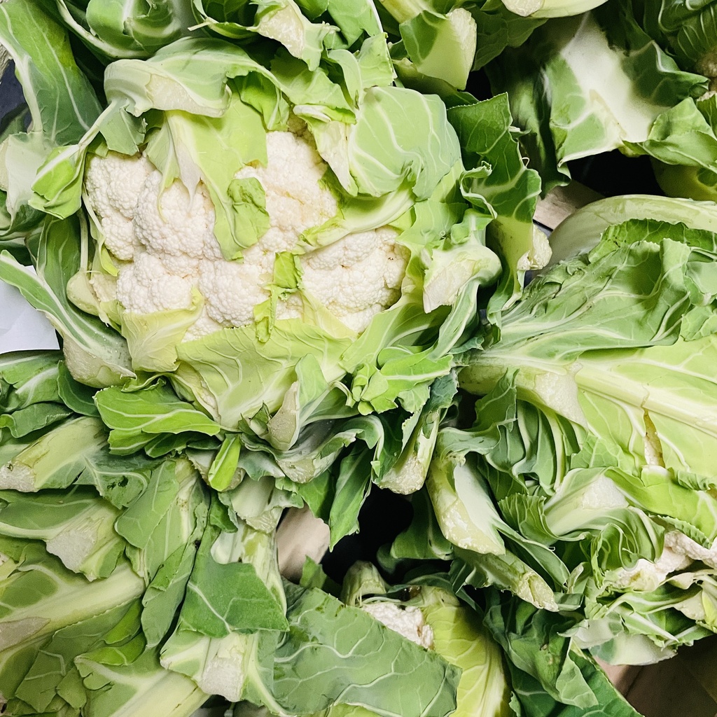 Chou-fleur - Mollenakker