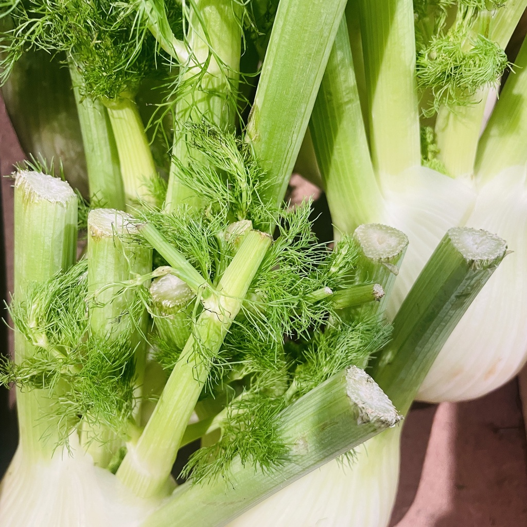 FENOUIL bio — Luis Martinez, Espagne