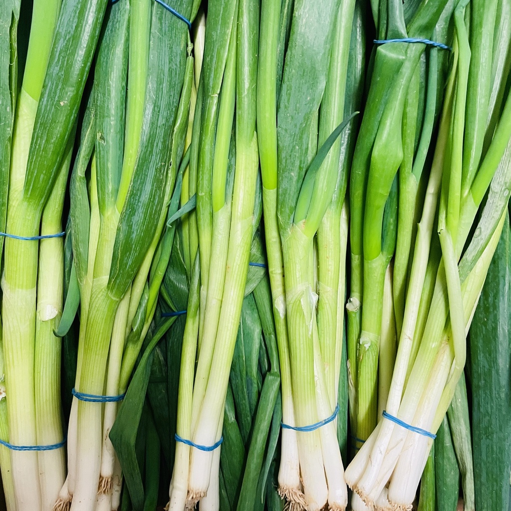 Oignon jeune en botte - De blauwe spie