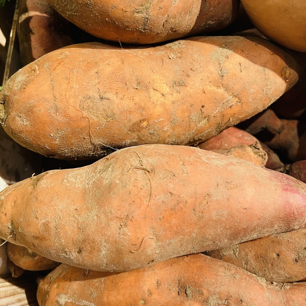 PATATE DOUCE bio — Niemegeers