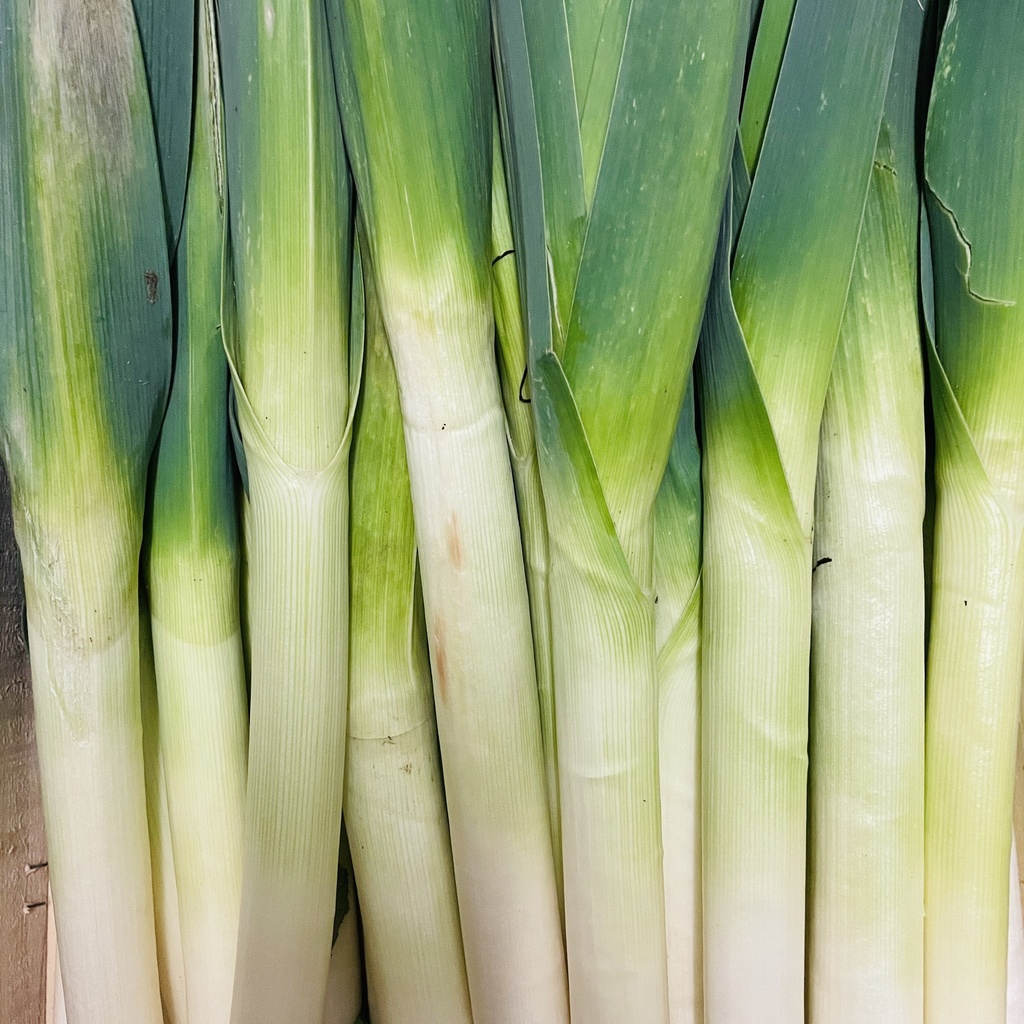 POIREAU — De Blauwe Spie