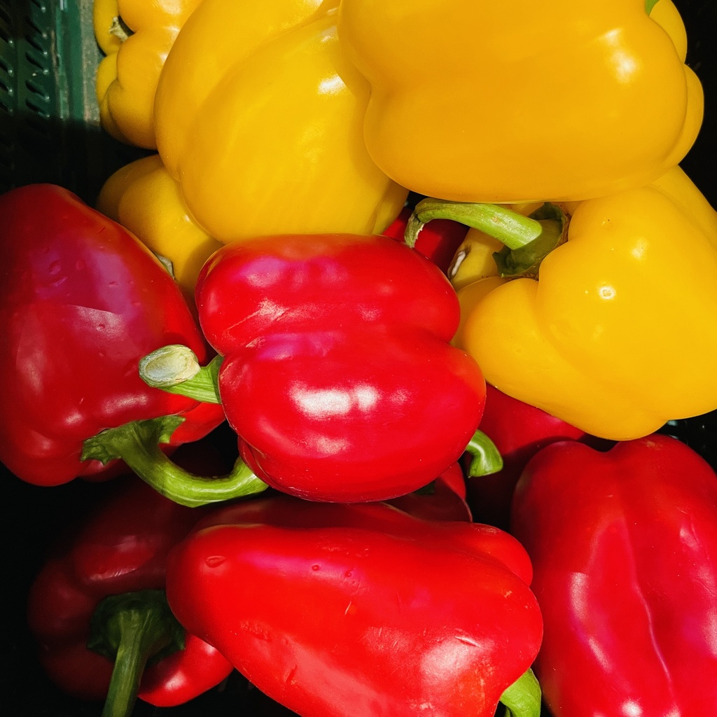 POIVRON  — Giorgio Battaglia, Comiso, Sicile