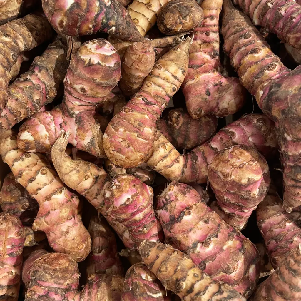 TOPINAMBOUR bio — Staelens Luc, Houthulst, West—Vlaanderen