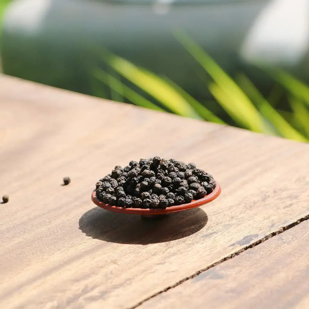 POIVRE DE KAMPOT NOIR — La Plantation, Kampot, Cambodge