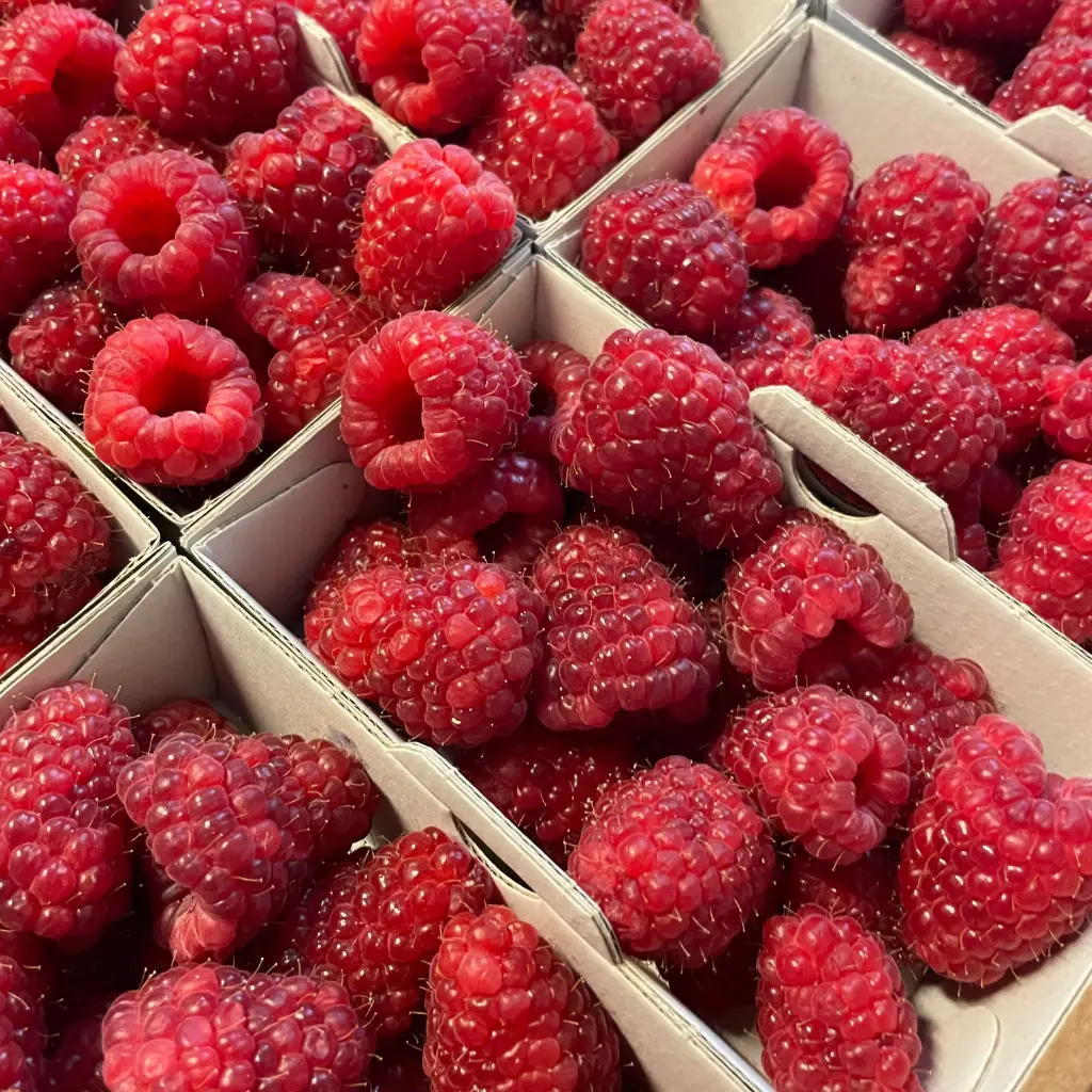 FRAMBOISE Tulameen — Boissieras