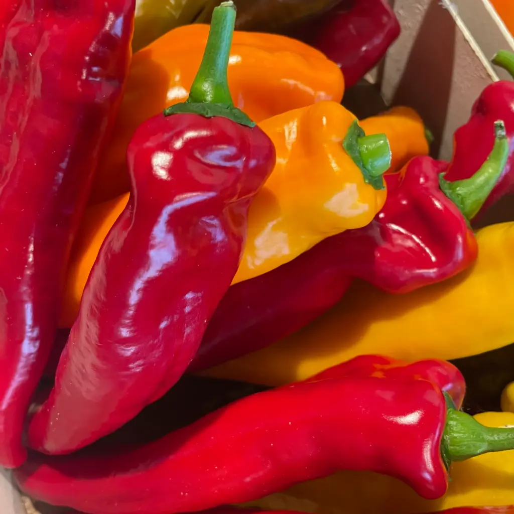 POIVRON PALERMO  — Francisco Garcia Jimenez