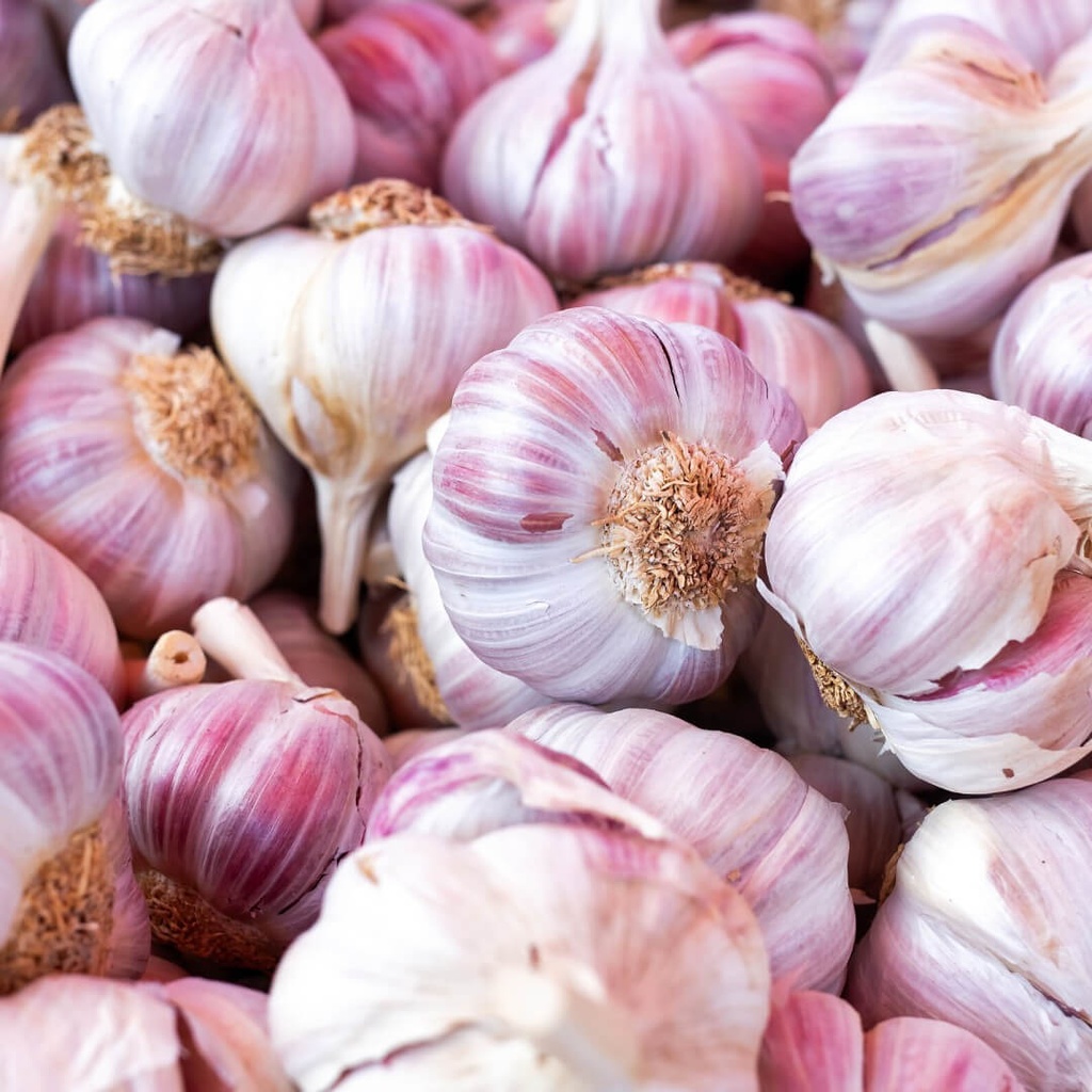 AIL ROSE SEC — Espagne