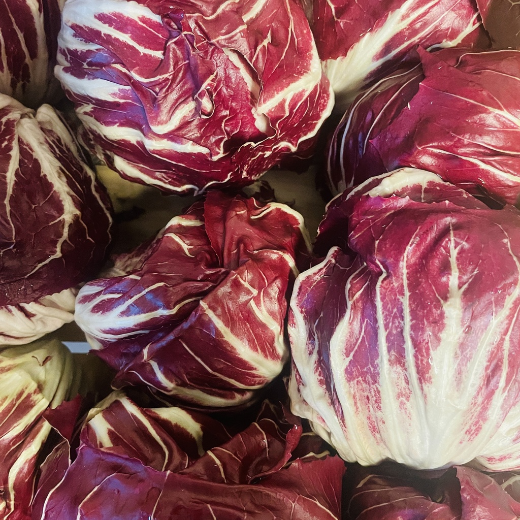RADICCHIO bio — Tesini Antonio, Isola della Scala, Veneto