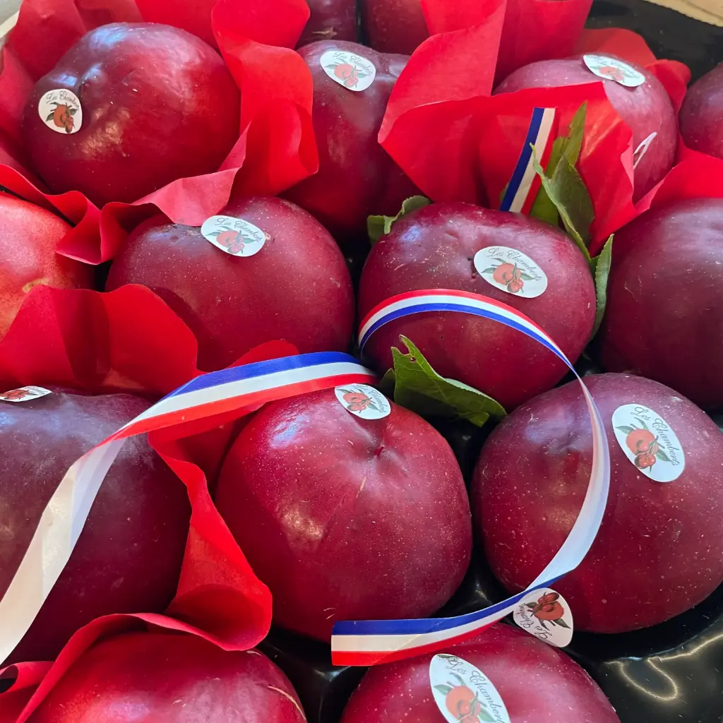 Nectarine Jaune — Canard