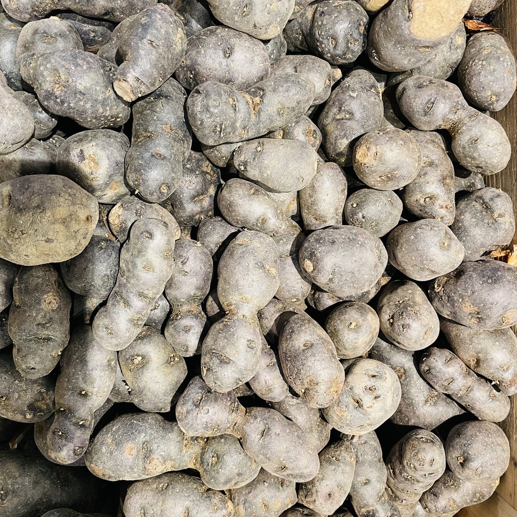 PDT Vitelotte - Prinelle