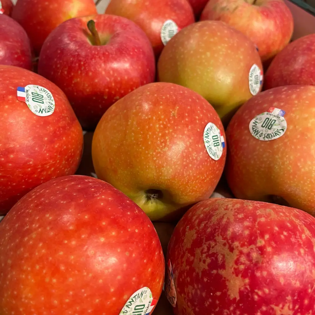 POMME ROYAL GALA  — Saveur d'Antan