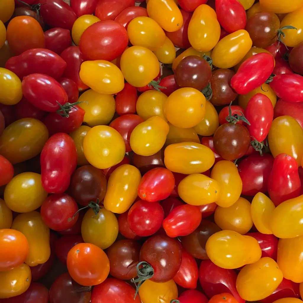 TOMATE CERISE mix — Confine, Provence