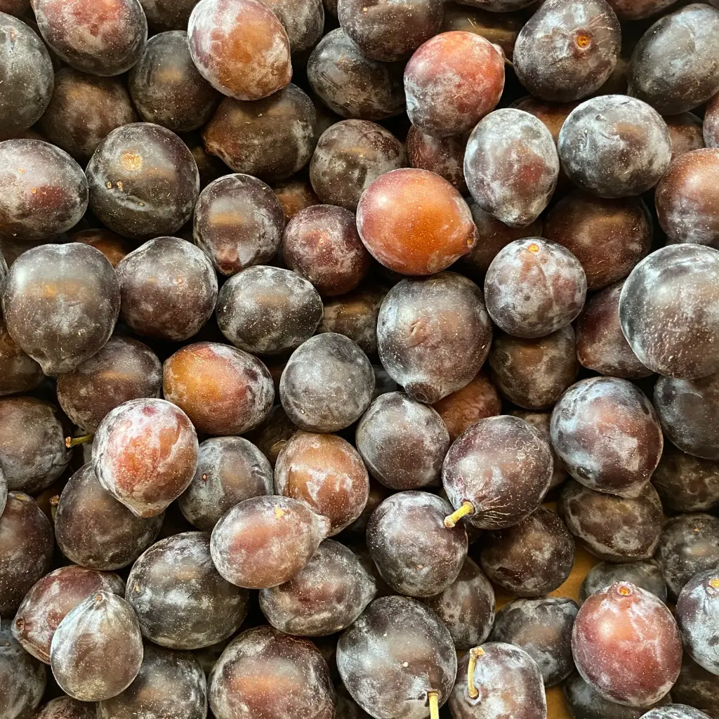 Prune Datil — Vergers Cancel