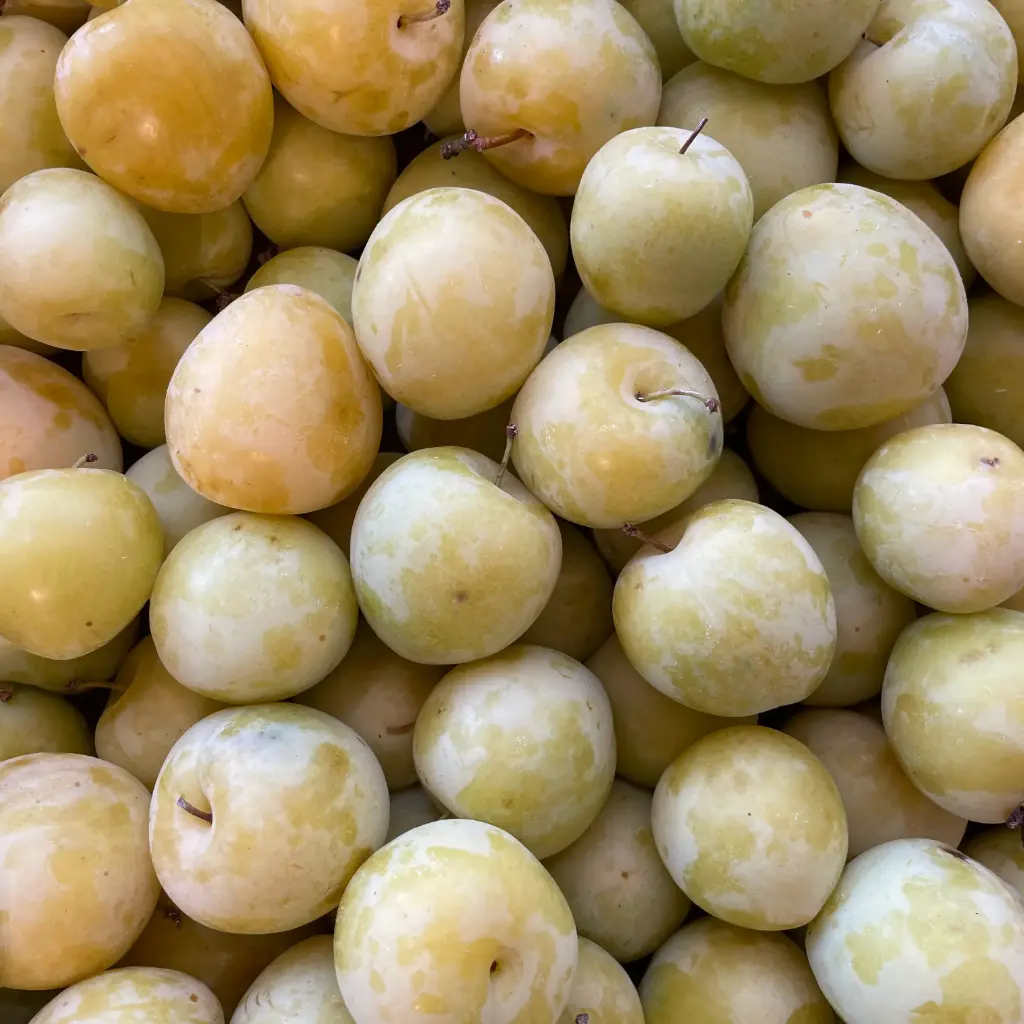 Prunes Jaunes Golden Japan — Saveur d'Antan