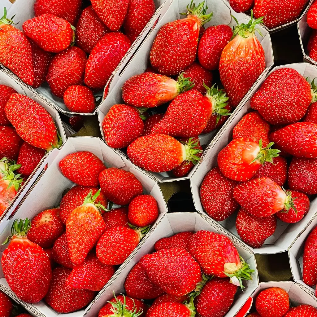 Fraises Gariguettes Pleine Terre 250g - Chene Bleu, Provence