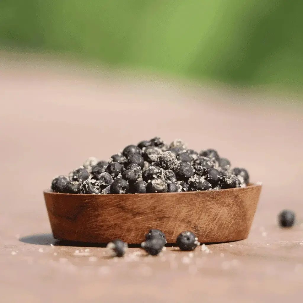 POIVRE DE KAMPOT Frais au Sel 500g — La Plantation, Kampot, Cambodge