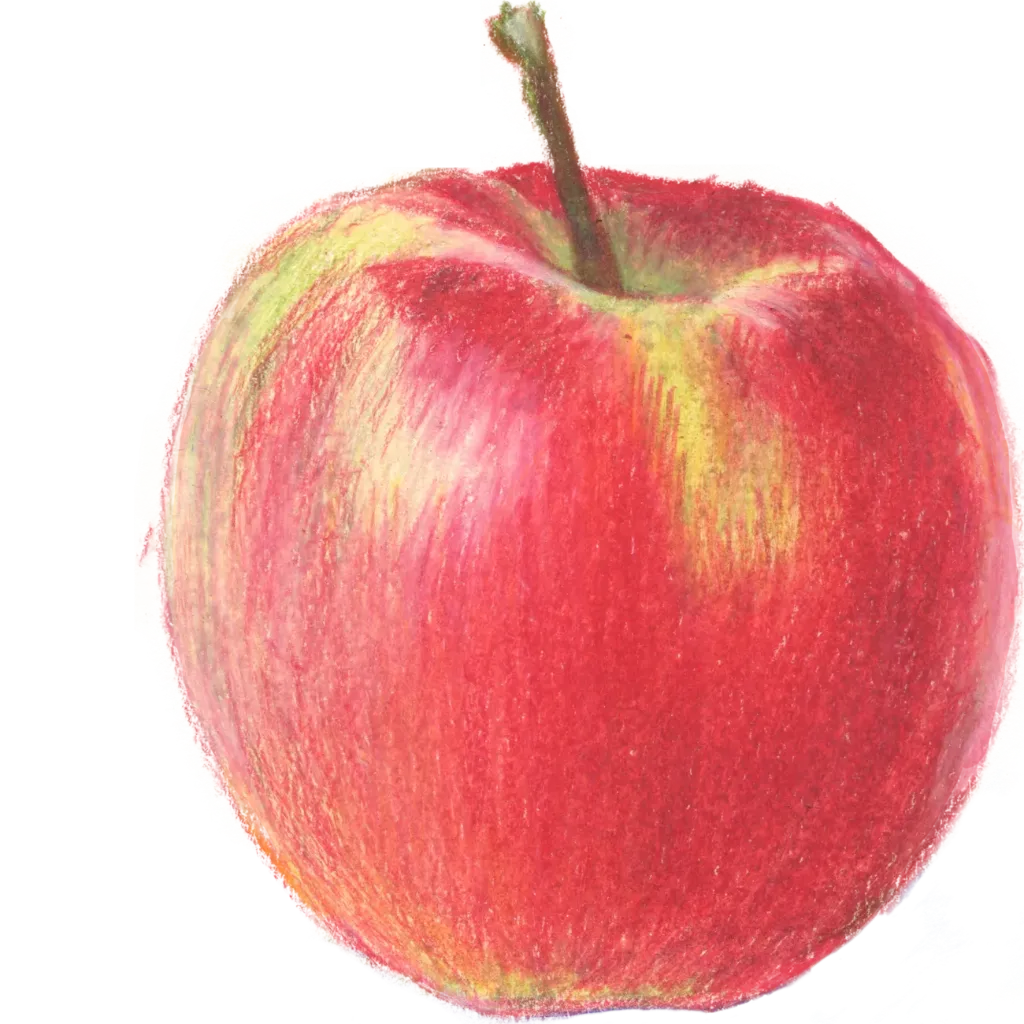 POMME JONAGOLD — De Fruittuin, Houwaart
