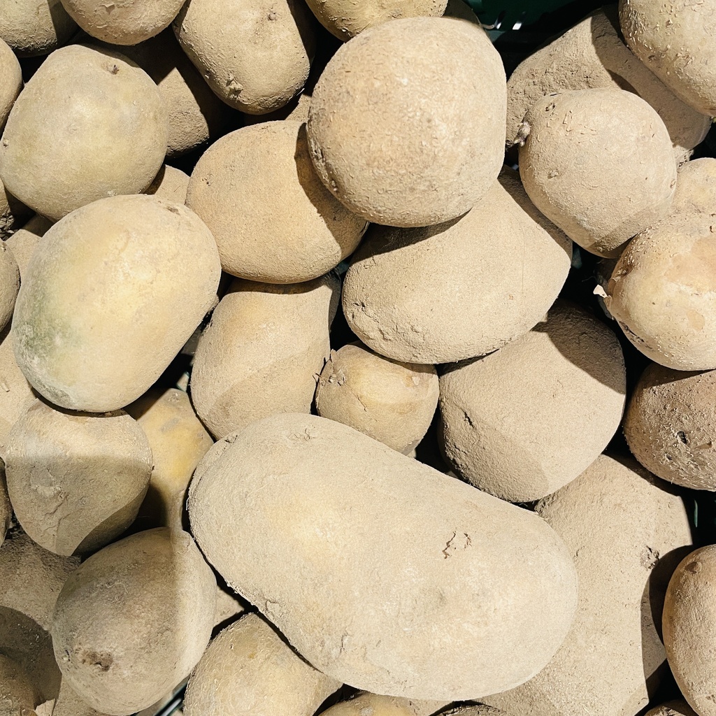 PDT AGRIA bio — Jens Mouton, Ichtegem, West-Vlaanderen