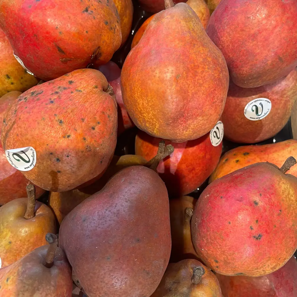 POIRE WILLIAM Rouge  — Saveur d'Antan