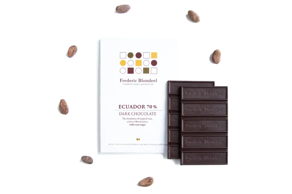 Chocolat Ecuador 70% - Frederic Blondeel