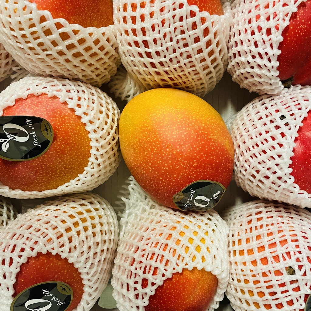 MANGUE AVION — Brésil