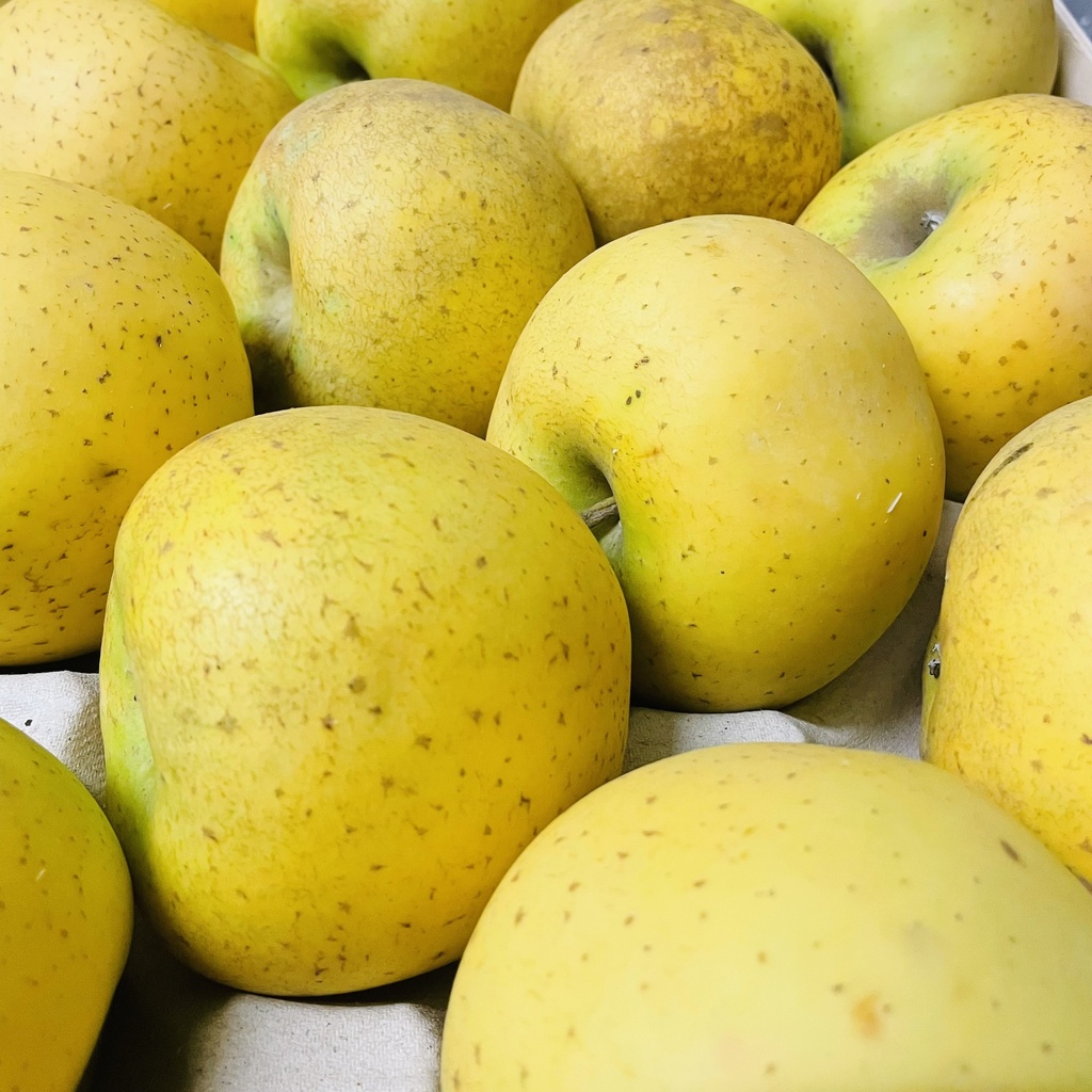 POMME CHANTECLER — Mouneyrac