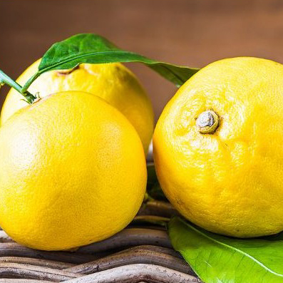 Citron Yuzu - Corse
