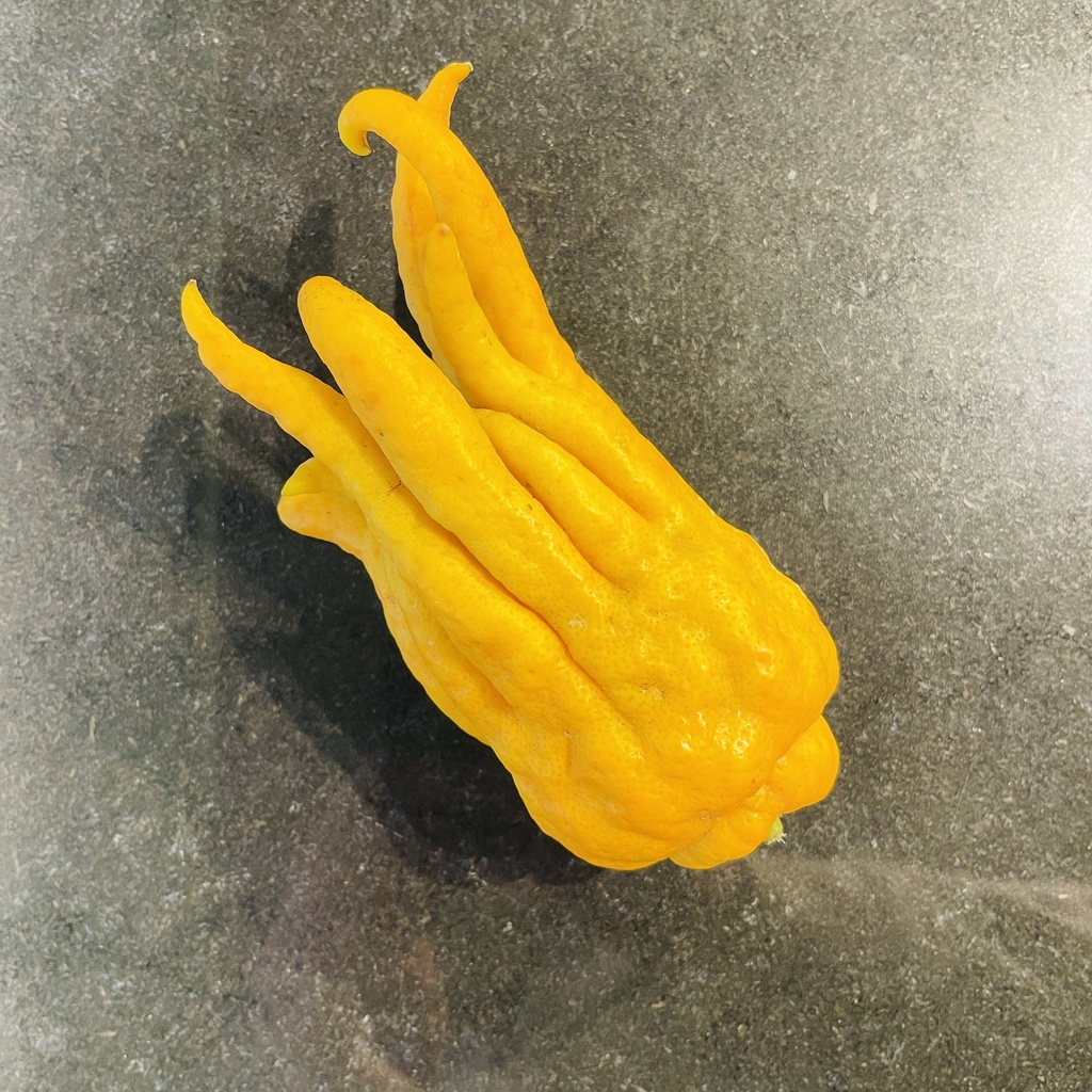 Main de Bouddha - Espagne