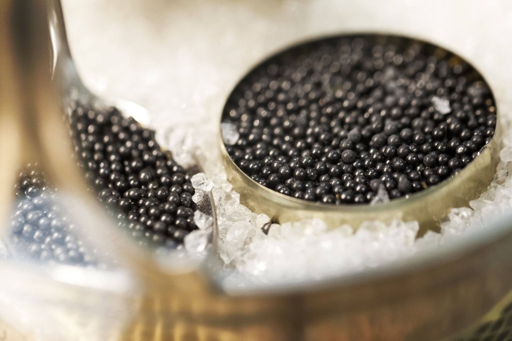Caviar Beluga Huso Huso Iran 30g - Caspian Tradition